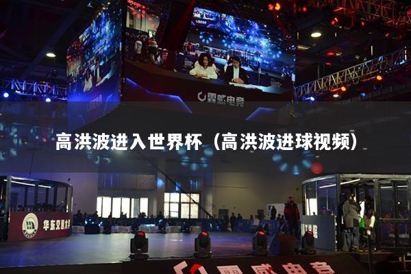 高洪波进入世界杯（高洪波进球视频）