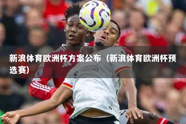 新浪体育欧洲杯方案公布(新浪体育欧洲杯预选赛)