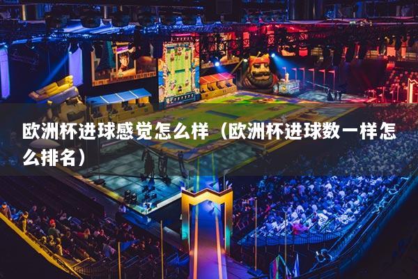 欧洲杯进球感觉怎么样（欧洲杯进球数一样怎么排名）
