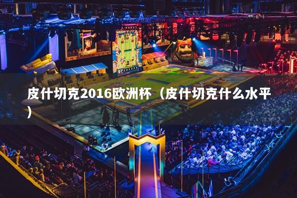 皮什切克2016欧洲杯(皮什切克什么水平)