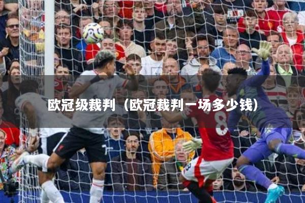 欧冠级裁判(欧冠裁判一场多少钱)
