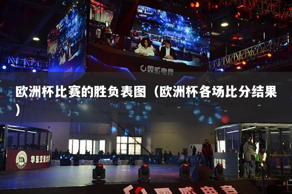 欧洲杯比赛的胜负表图(欧洲杯各场比分结果)