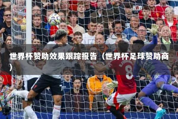 世界杯赞助效果跟踪报告（世界杯足球赞助商）