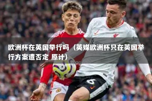 欧洲杯在英国举行吗(英媒欧洲杯只在英国举行方案遭否定 原计)