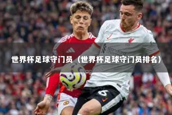 世界杯足球守门员（世界杯足球守门员排名）