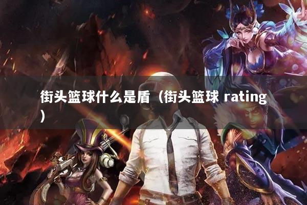街头篮球什么是盾(街头篮球 rating)