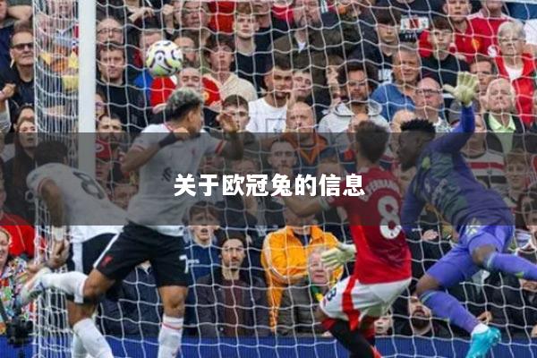 关于欧冠兔的信息