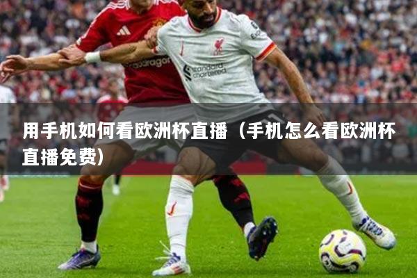 用手机如何看欧洲杯直播(手机怎么看欧洲杯直播免费)
