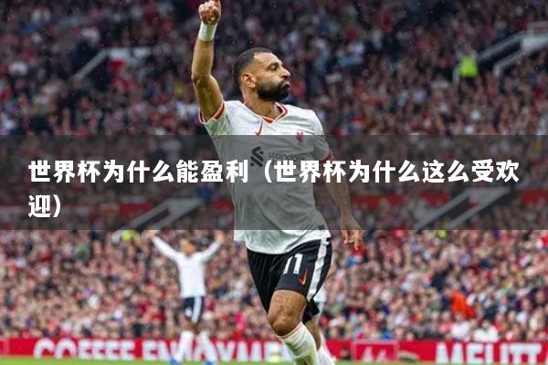 世界杯为什么能盈利(世界杯为什么这么受欢迎)