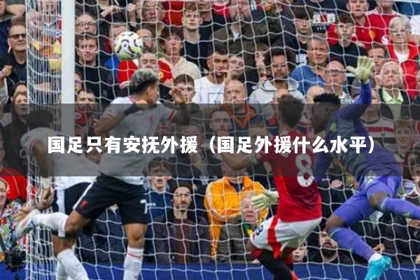 国足只有安抚外援（国足外援什么水平）